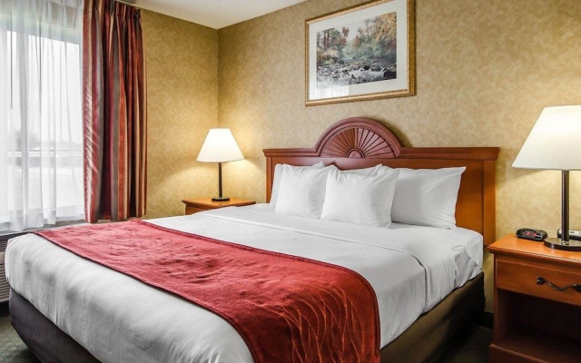 photo 4 of Comfort Inn & Suites