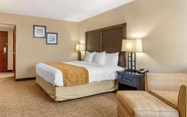 photo 3 of Comfort Inn & Suites Allen Park/dearborn