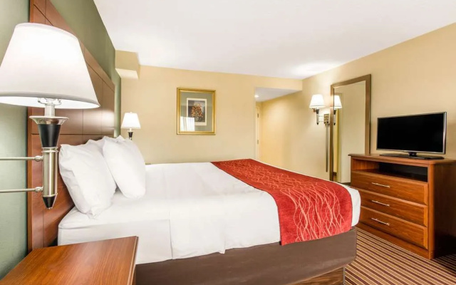 photo 5 of Comfort Inn & Suites Crabtree Valley