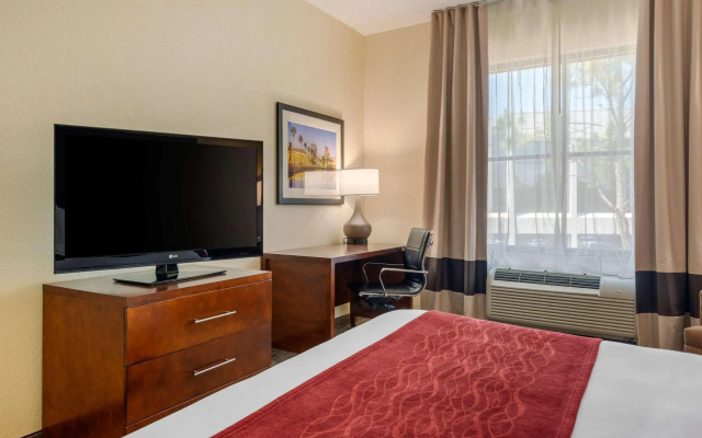 photo 5 of Comfort Inn & Suites Northeast - Gateway