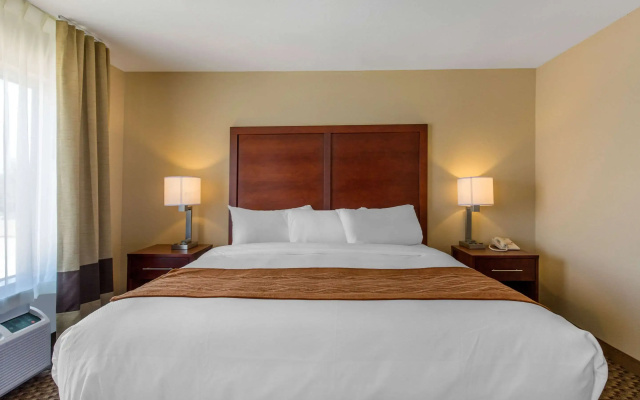 photo 5 of Comfort Inn & Suites SW Houston Sugarland