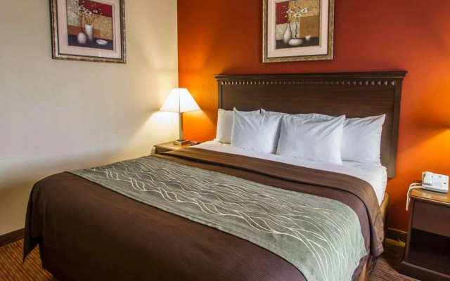 photo 4 of Comfort Inn Phoenix Central City