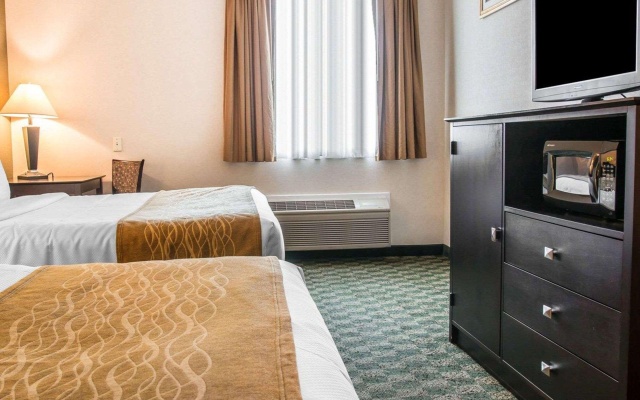 photo 4 of Comfort Inn Whitehall near Michigan's Adventure