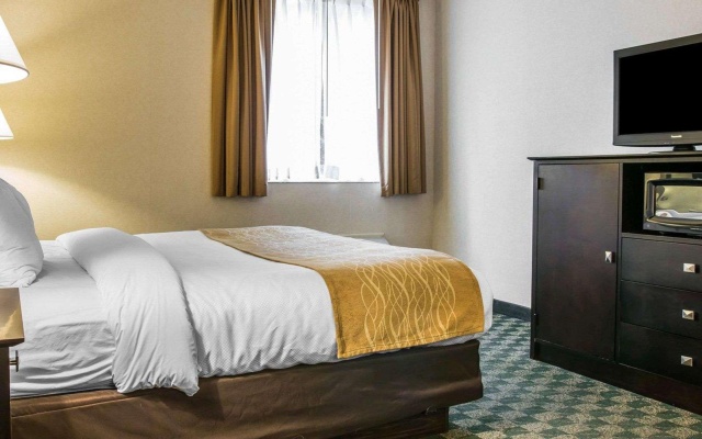 photo 5 of Comfort Inn Whitehall near Michigan's Adventure