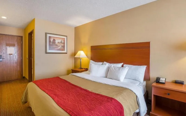 photo 4 of Quality Inn