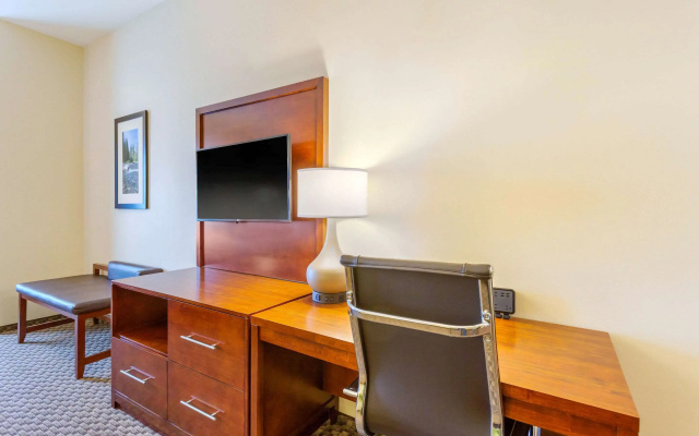 photo 5 of Comfort Suites Burlington near I-5