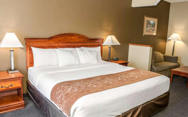 photo 3 of Comfort Suites Auburn near I-69
