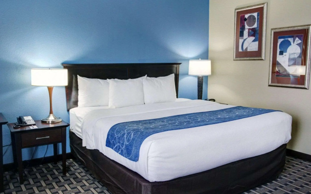 photo 3 of Comfort Suites Georgetown