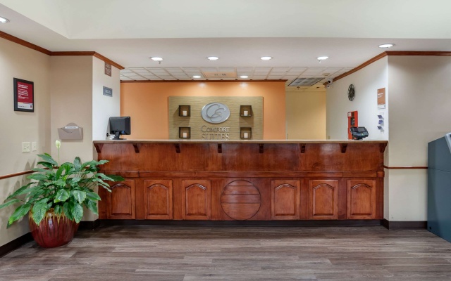 photo 2 of Comfort Suites Jacksonville Airport
