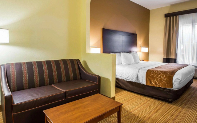 photo 3 of Comfort Suites Anderson-Clemson