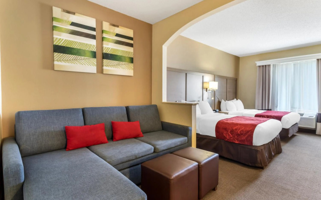 photo 4 of Comfort Suites Bush Intercontinental Airport