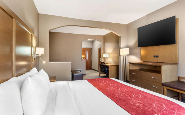 photo 5 of Comfort Suites Bush Intercontinental Airport