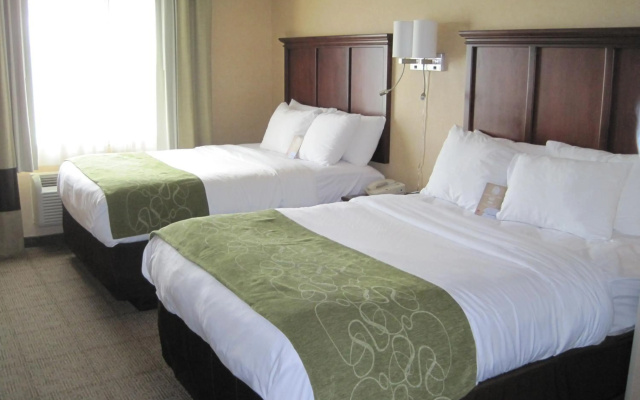 photo 3 of Comfort Suites Columbia - University Area