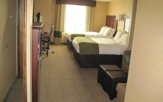 photo 4 of Comfort Suites Columbia - University Area