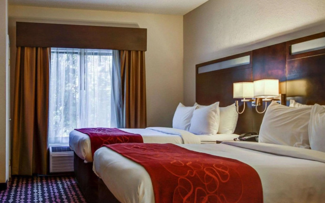 photo 3 of Comfort Suites Northside Hospital Gwinnett