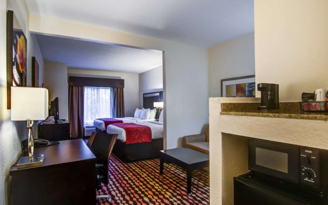 photo 4 of Comfort Suites Northside Hospital Gwinnett