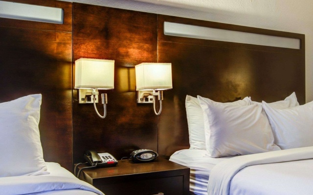 photo 5 of Comfort Suites Northside Hospital Gwinnett