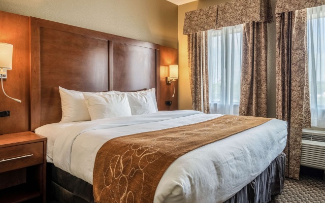 photo 3 of Comfort Suites Near Texas State University