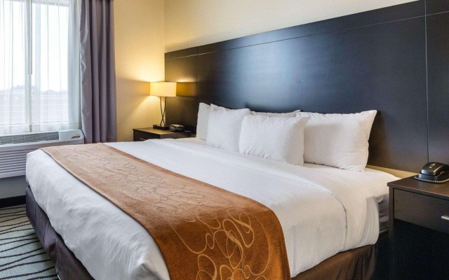 photo 4 of Comfort Suites near Westchase on Beltway 8