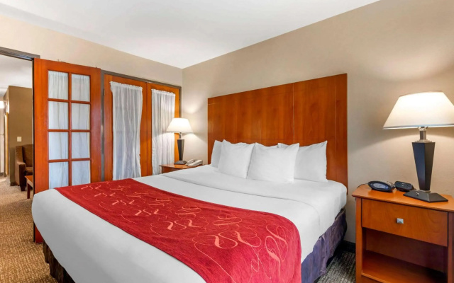 photo 4 of Comfort Suites North Dallas