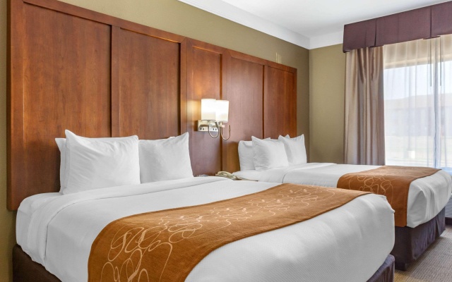 photo 5 of Comfort Suites Plainview