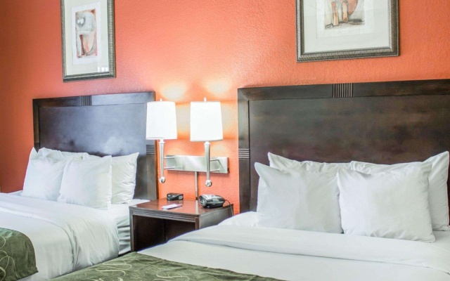 photo 4 of Comfort Suites Regency Park