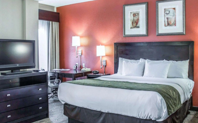 photo 5 of Comfort Suites Regency Park