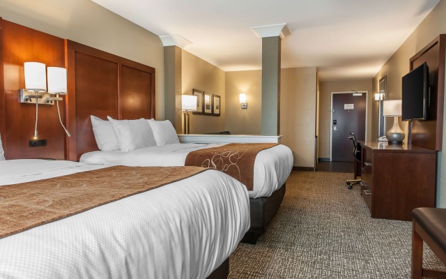 photo 5 of Comfort Suites Rensselaer near Fair Oaks