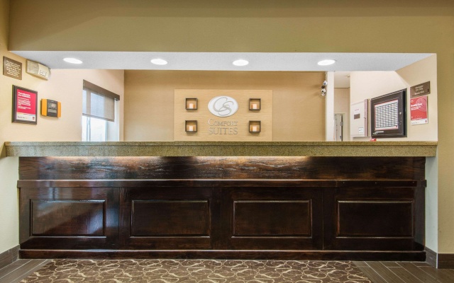 photo 2 of Comfort Suites Rochester Henrietta University Area