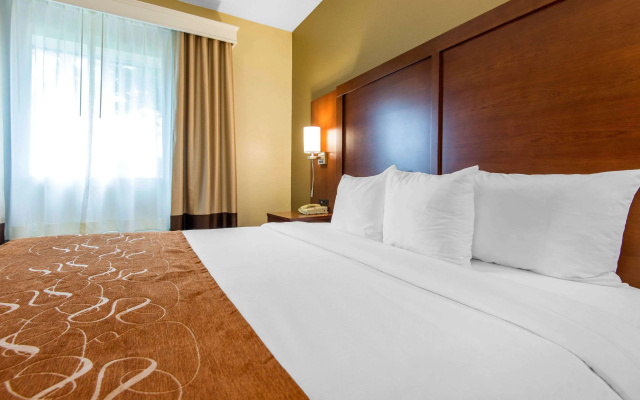 photo 3 of Comfort Suites Rochester Henrietta University Area