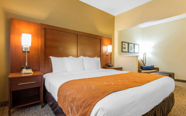 photo 4 of Comfort Suites Rochester Henrietta University Area