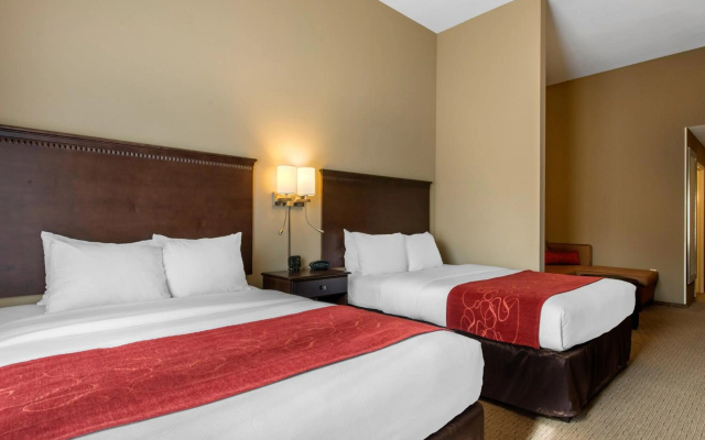 photo 4 of Comfort Suites Sarasota - Siesta Key