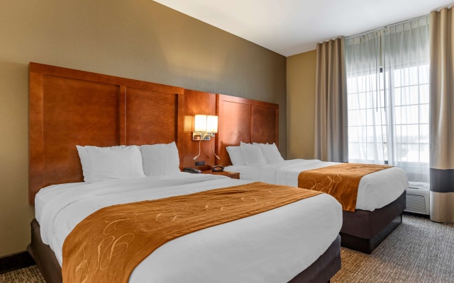 photo 5 of Comfort Suites Grand Rapids South