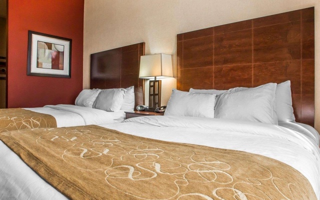 photo 5 of Comfort Suites Troy-I75