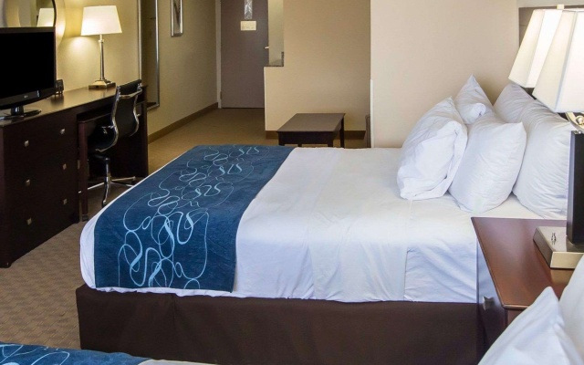 photo 4 of Comfort Suites University Area Notre Dame - South Bend