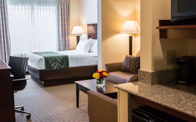 photo 5 of Comfort Suites University Area Notre Dame - South Bend