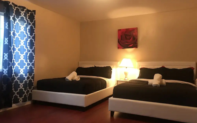 photo 2 of Cozy Hollywood