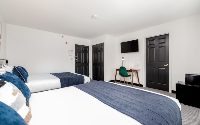 photo 3 of CozySuites Central West End