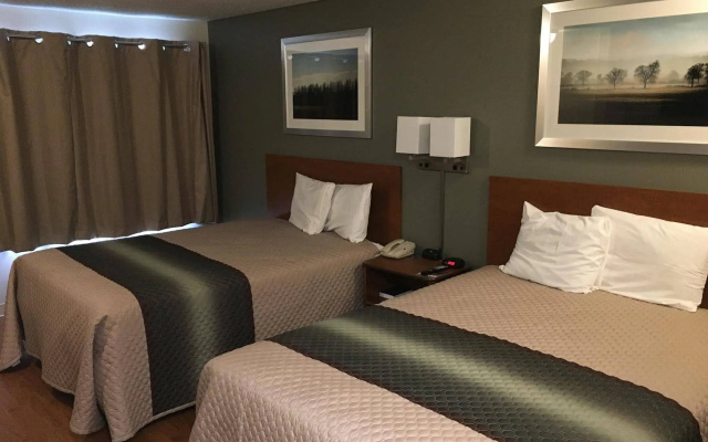 photo 4 of Studio 51 Extended Stay Hotel