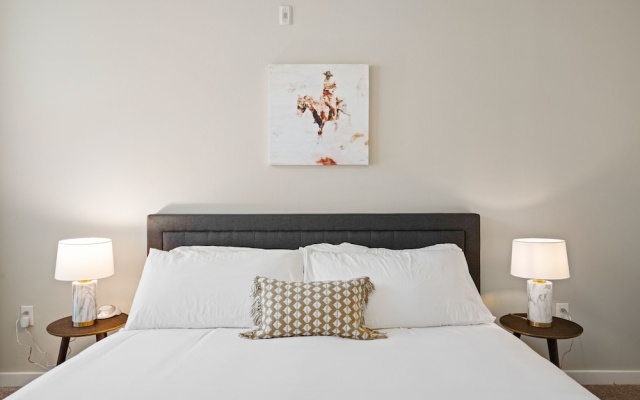 photo 4 of Dallas Beautiful 1BD 1BA Downtown Apartment