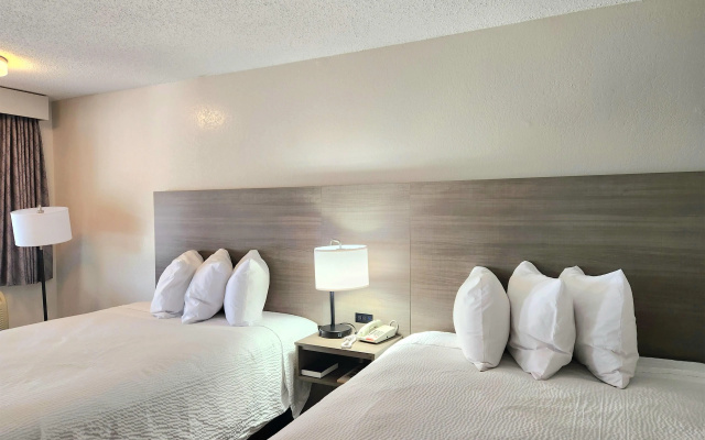photo 4 of Days Inn by Wyndham San Marcos
