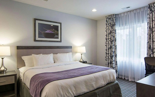 photo 3 of Comfort Inn Williamsburg Gateway