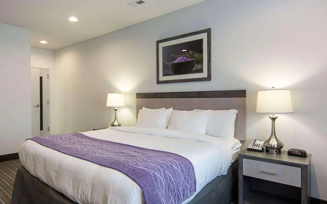 photo 4 of Comfort Inn Williamsburg Gateway