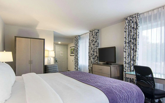 photo 5 of Comfort Inn Williamsburg Gateway