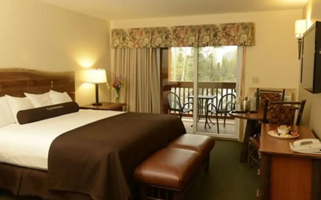 photo 3 of Denali Park Village