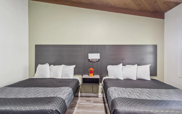 photo 5 of Discovery Inn
