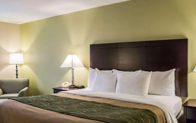photo 2 of Comfort Inn & Suites St. Pete - Clearwater International Airport