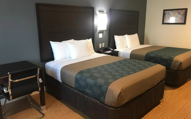 photo 4 of Econo Lodge Inn & Suites Houston Willowbrook