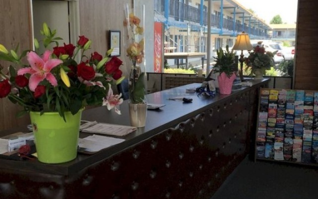 photo 3 of El Cortez Lodge
