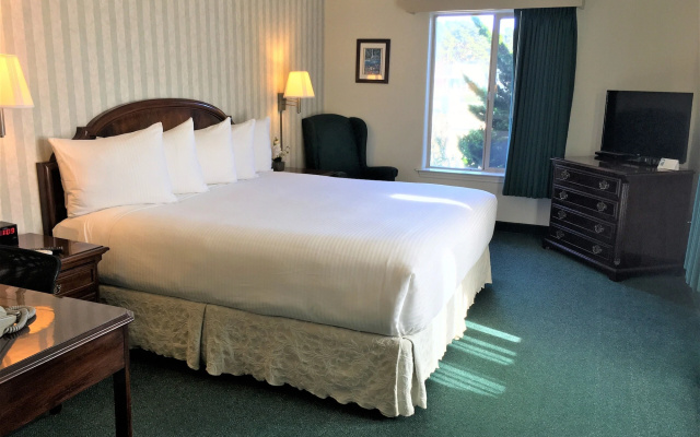 photo 5 of Emerald Dolphin Inn & Mini Golf